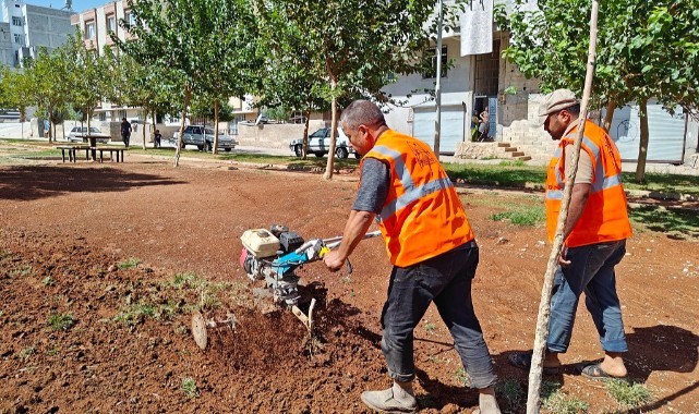 Eyyübiye Parklarında Sonbahar Çalışması (video)