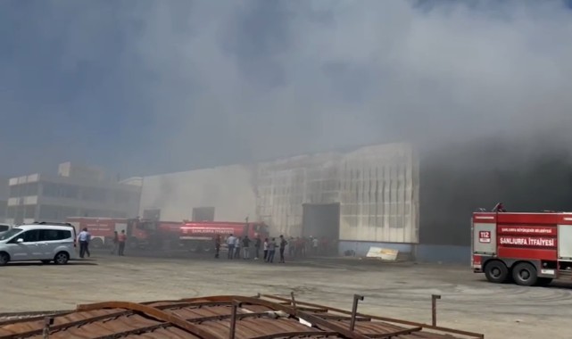 Şanlıurfa'da bir geri dönüşüm fabrikasında yangın çıktı.