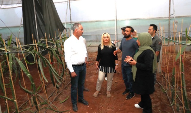 Kuş’tan Sera Kent’i Büyütme Müjdesi (video)