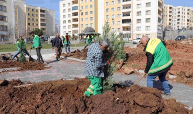 Seyrantepe'de 21 bin metrekarelik yeşil alan için çalışmalar sürüyor (Video)