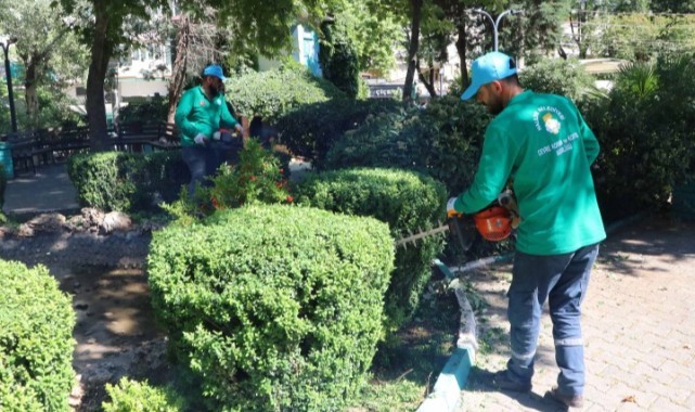 Haliliye Belediyesi peyzaj çalişmasi ile parklari güzelleştiriyor (Video)