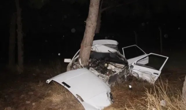 Ceylanpınar’da Trafik Kazası
