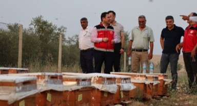 Haliliye’de Hayvancılığa Tam Destek! Kaymakam Sahada