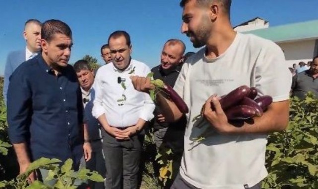 Şanlıurfa Birecik’te fıstık ve patlıcan festivali heyecanı