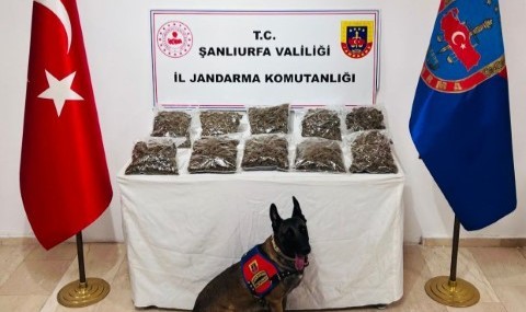 Şanlıurfa’da Narkotik Mücadelesi Kapsamında 7 Kg Skunk Ele Geçirildi