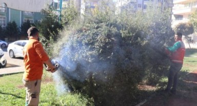 Haliliye Belediyesi’nden Yeşil Alanlara Büyük Dokunuş!