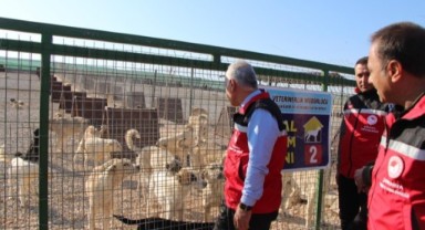Tarım ve Orman Müdürü Söğüt, Bakımevlerini Denetledi!