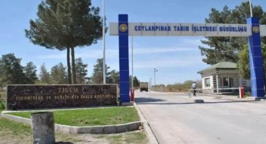 Ceylanpınar Tarım İşletmesi’nden İsteklilere Önemli Duyuru!