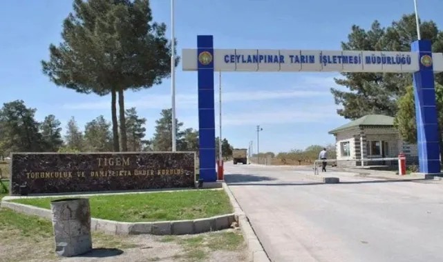 Ceylanpınar Tarım İşletmesi’nden İsteklilere Önemli Duyuru!