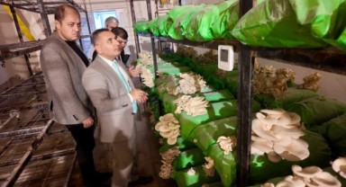 Viranşehir’de Gençler Tarımsal Üretimi Yerinde Öğreniyor!