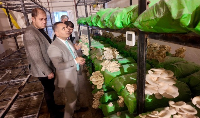 Viranşehir’de Gençler Tarımsal Üretimi Yerinde Öğreniyor!