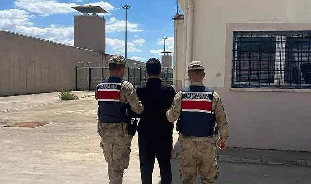 Şanlıurfa’da Jandarma’dan Operasyon: Firari Hükümlü Gözaltında