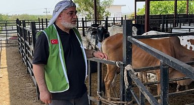 Şanlıurfalı Hayırseverlerin Kurbanları Pakistan’a Ulaştı