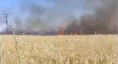 Şanlıurfa’da Buğday Tarlasında Korkutan Yangın