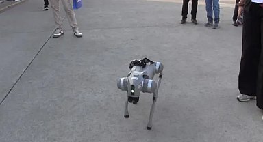 Şanlıurfa’da Çocuklar TEKNOFEST’te Yapay Zekâlı Robot Köpekle Buluştu